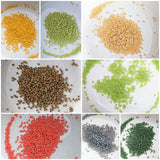May 2023<br>Size 11 Seed Beads<br>Reorder Listing