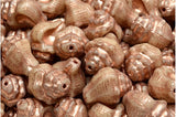 Seashell Beads<br>4 Pieces