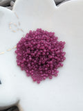 November 2023<br>Size 11 Seed Beads<br>Reorder Listing
