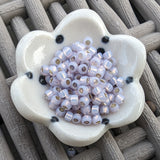 February 2024<br>Seed Beads<br>Reorder Listing