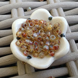 6/0 Matubo Seed Beads '25