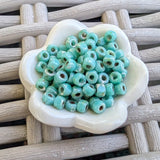 6/0 Matubo Seed Beads '25