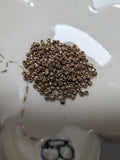 Deluxe Czech Seed Beads