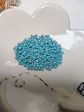 Deluxe Czech Seed Beads