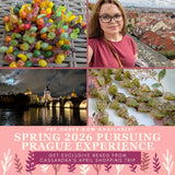 Pursuing Prague<br>Spring 2026 Experience