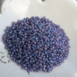 June 2024<br>Seed Beads<br>Reorder Listing