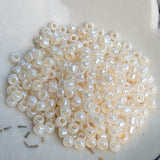 June 2024<br>Seed Beads<br>Reorder Listing