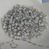 July 2024<br>Seed Beads<br>Reorder Listing