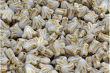 Lily Beads<br>12 Pieces Each<br>Many Color Options