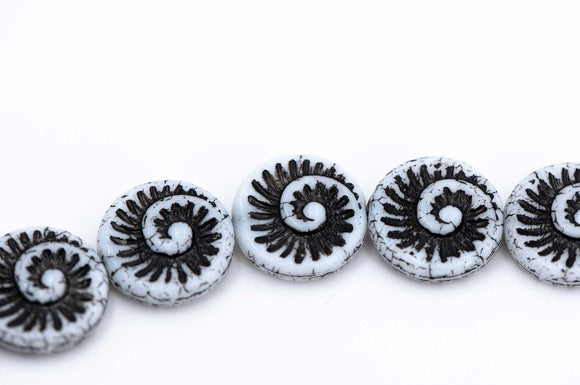 Ammonite Spiral, White/Jet